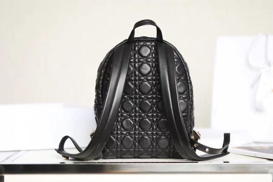 Balo nữ DIOR BACKPACK like auth