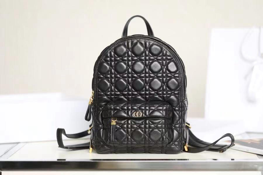 Balo nữ DIOR BACKPACK like auth