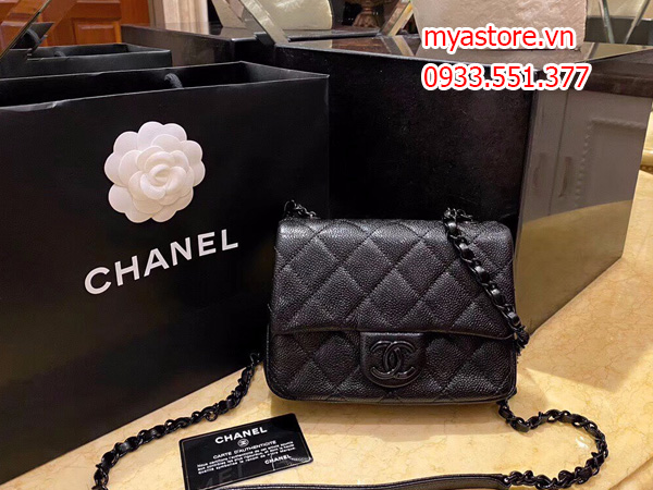 Túi xách nữ Chanel